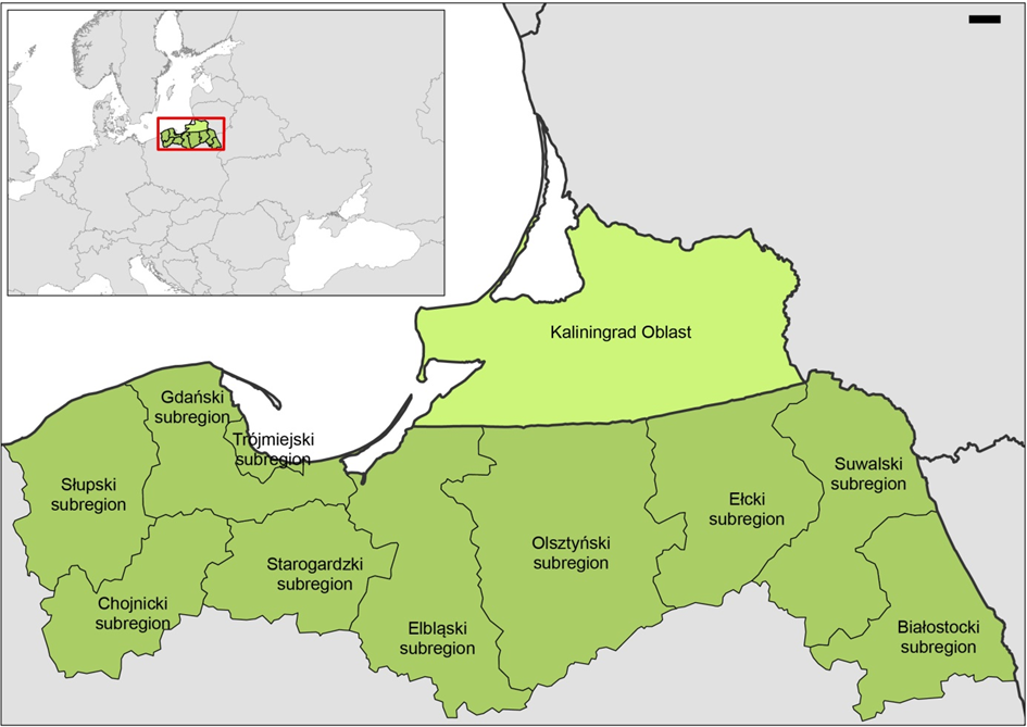 Zaproszenie Do Skladania Propozycji Koncepcji Duzych Projektow Infrastrukturalnych W Programie Interreg Polska Rosja 2021 2027 Z Wojewodztwa Podlaskiego Strategia Rozwoju Wojewodztwa Podlaskiego